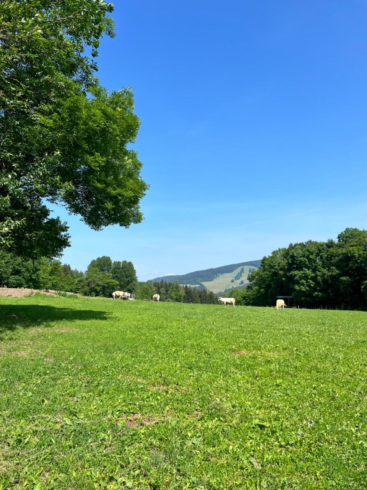 Apartman Vista Rokytnice Rokytnice nad Jizerou Luaran gambar