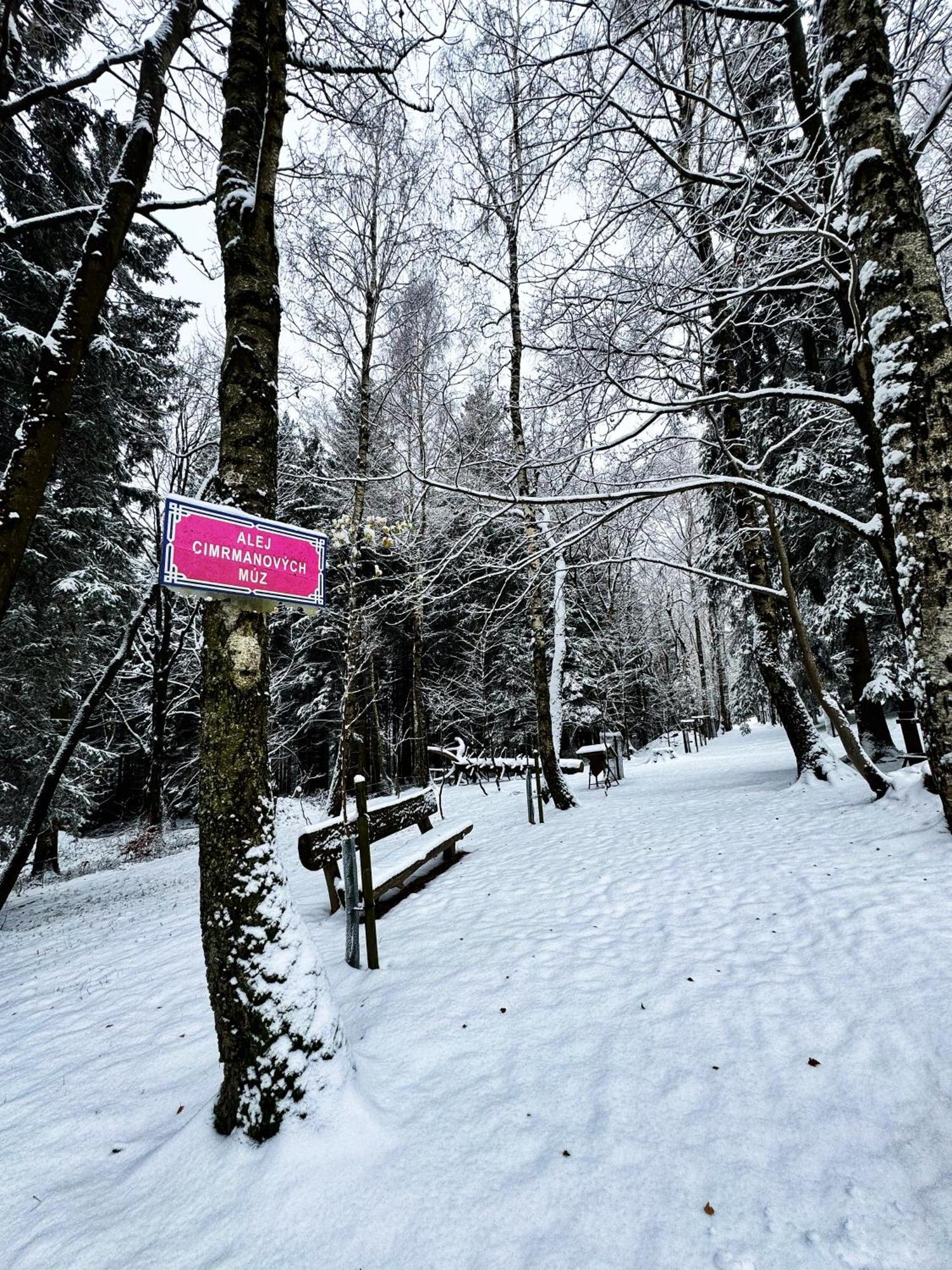 Apartman Vista Rokytnice Rokytnice nad Jizerou Luaran gambar